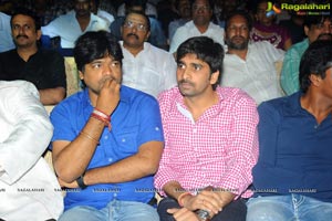 Yellow Flowers and RR Movie Makers Srimannarayana Audio Release Function