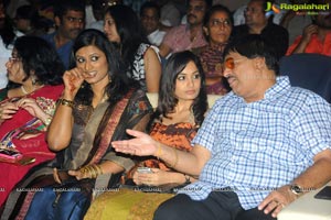 Yellow Flowers and RR Movie Makers Srimannarayana Audio Release Function