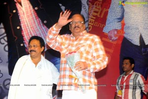 Yellow Flowers and RR Movie Makers Srimannarayana Audio Release Function