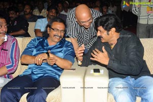 Yellow Flowers and RR Movie Makers Srimannarayana Audio Release Function