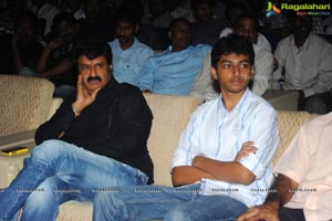 Yellow Flowers and RR Movie Makers Srimannarayana Audio Release Function