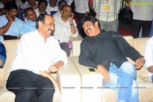 Yellow Flowers and RR Movie Makers Srimannarayana Audio Release Function