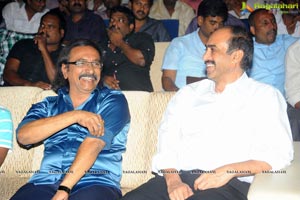 Yellow Flowers and RR Movie Makers Srimannarayana Audio Release Function