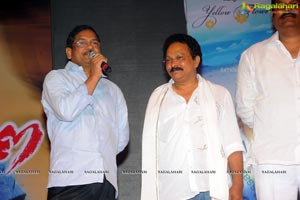 Yellow Flowers and RR Movie Makers Srimannarayana Audio Release Function