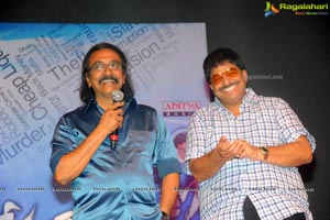 Yellow Flowers and RR Movie Makers Srimannarayana Audio Release Function