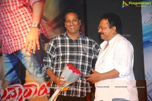 Yellow Flowers and RR Movie Makers Srimannarayana Audio Release Function