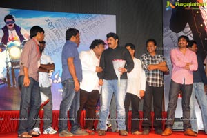 Yellow Flowers and RR Movie Makers Srimannarayana Audio Release Function