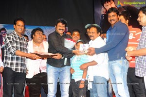 Yellow Flowers and RR Movie Makers Srimannarayana Audio Release Function