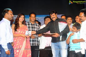 Yellow Flowers and RR Movie Makers Srimannarayana Audio Release Function