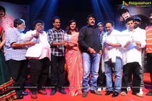 Yellow Flowers and RR Movie Makers Srimannarayana Audio Release Function