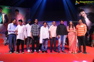 Yellow Flowers and RR Movie Makers Srimannarayana Audio Release Function