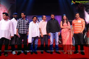 Yellow Flowers and RR Movie Makers Srimannarayana Audio Release Function