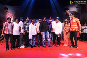 Yellow Flowers and RR Movie Makers Srimannarayana Audio Release Function