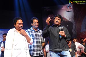 Yellow Flowers and RR Movie Makers Srimannarayana Audio Release Function