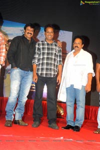 Yellow Flowers and RR Movie Makers Srimannarayana Audio Release Function