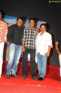 Yellow Flowers and RR Movie Makers Srimannarayana Audio Release Function