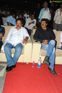 Yellow Flowers and RR Movie Makers Srimannarayana Audio Release Function