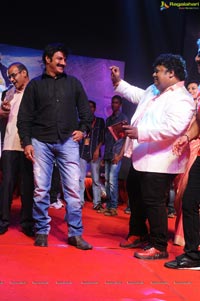 Yellow Flowers and RR Movie Makers Srimannarayana Audio Release Function