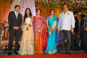 Subhashini’s Daughter Pooja Priyanka Wedding Photos