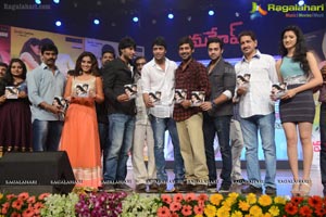 Sundeep Kishan Mahesh Audio Release Function