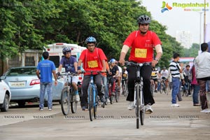 The Freedom Ride 2013