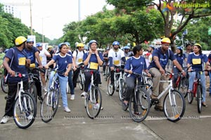 The Freedom Ride 2013