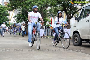 The Freedom Ride 2013