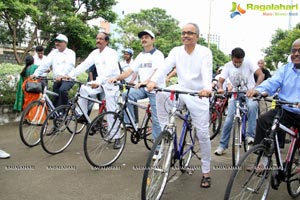 The Freedom Ride 2013