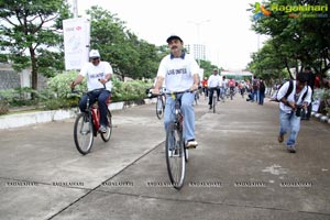 The Freedom Ride 2013