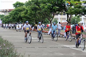 The Freedom Ride 2013