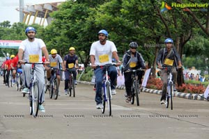 The Freedom Ride 2013