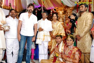 Anand Prasad Daughter Wedding