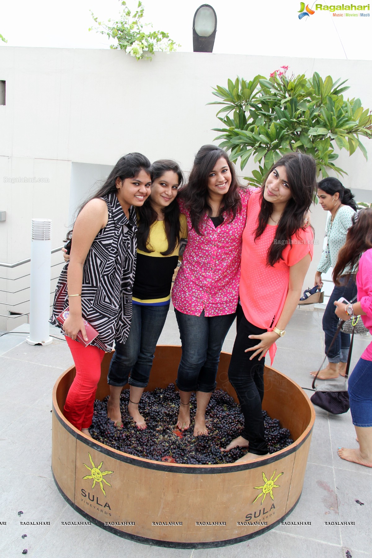 Grape Stomping and Foam Pool Bash by Sula Kishan at Hotel Marigold, Hyderabad