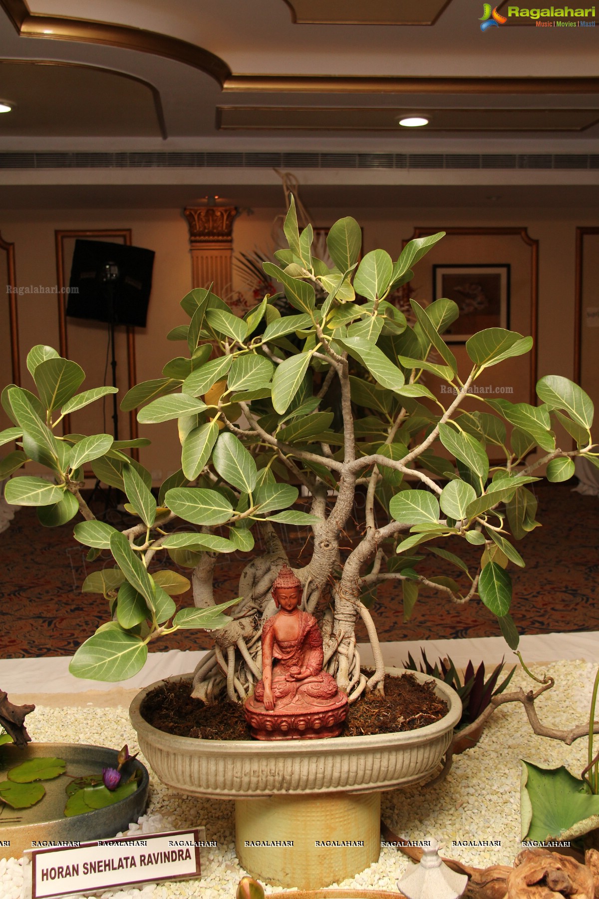 Celebration of Life by Hyderabad Chapter of Ohara School of Ikebana