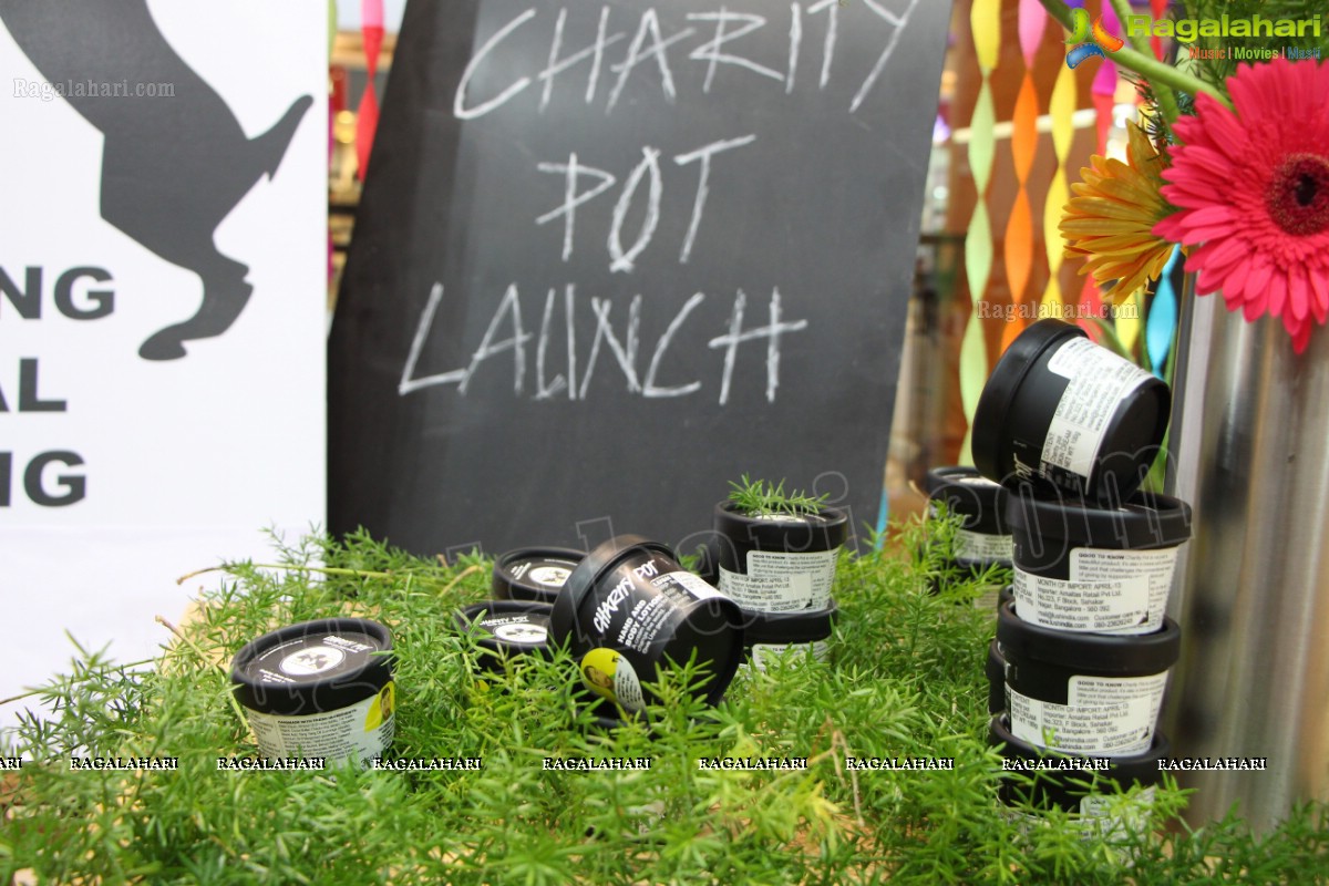 Amala Akkineni launches Charity Pot at Hyderabad Lush Stores