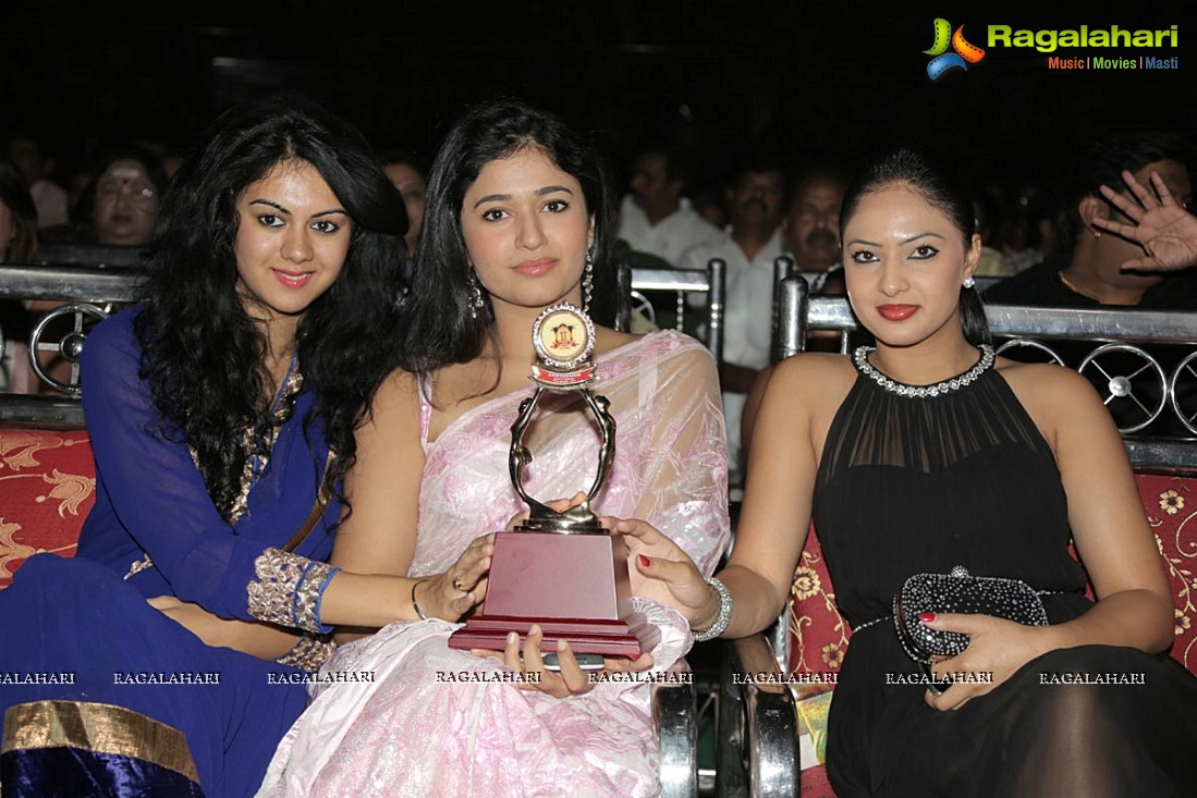 Santosham 11th Anniversary Awards (Set 1)