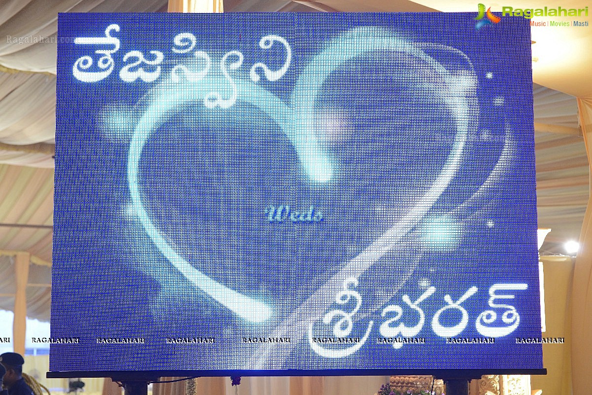 Balakrishna Daughter Tejeswini Wedding (Set 1)