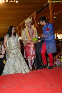 Balakrishna Daughter Tejaswini Sribharat Wedding