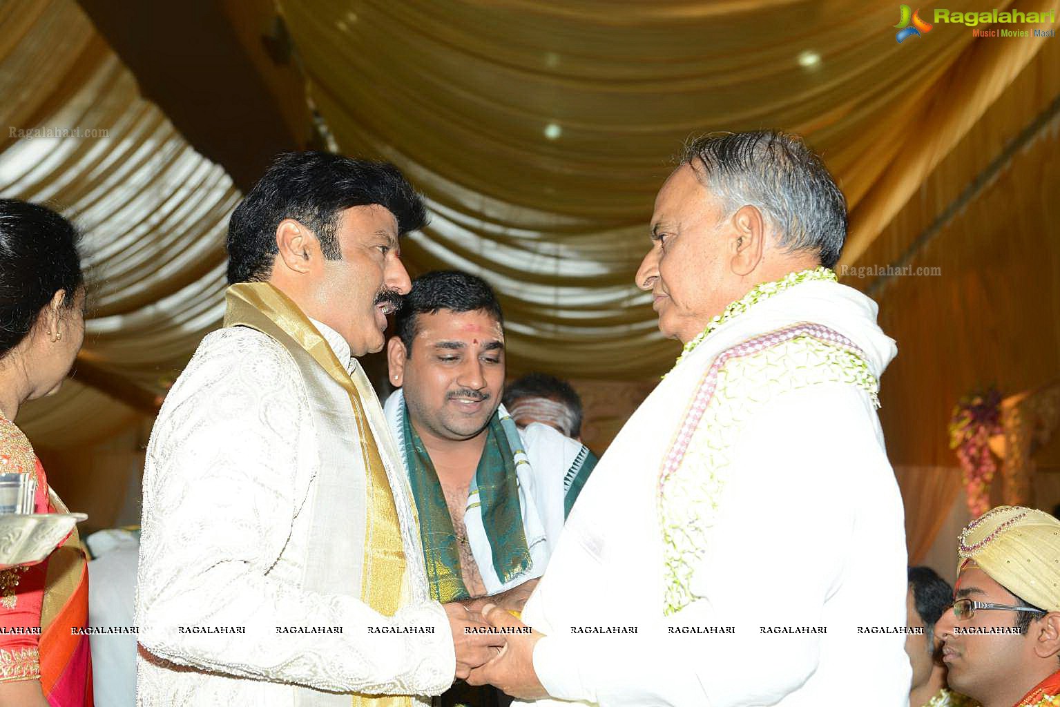 Balakrishna Daughter Tejeswini Wedding (Set 1)