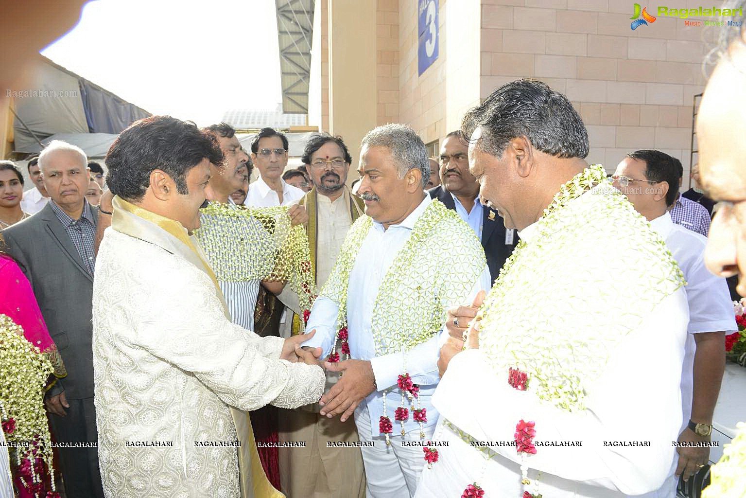 Balakrishna Daughter Tejeswini Wedding (Set 1)