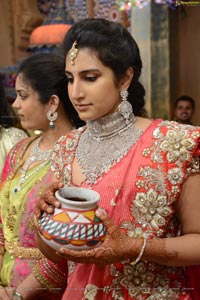 Balakrishna Second Daughter Tejaswini Marriage Photos