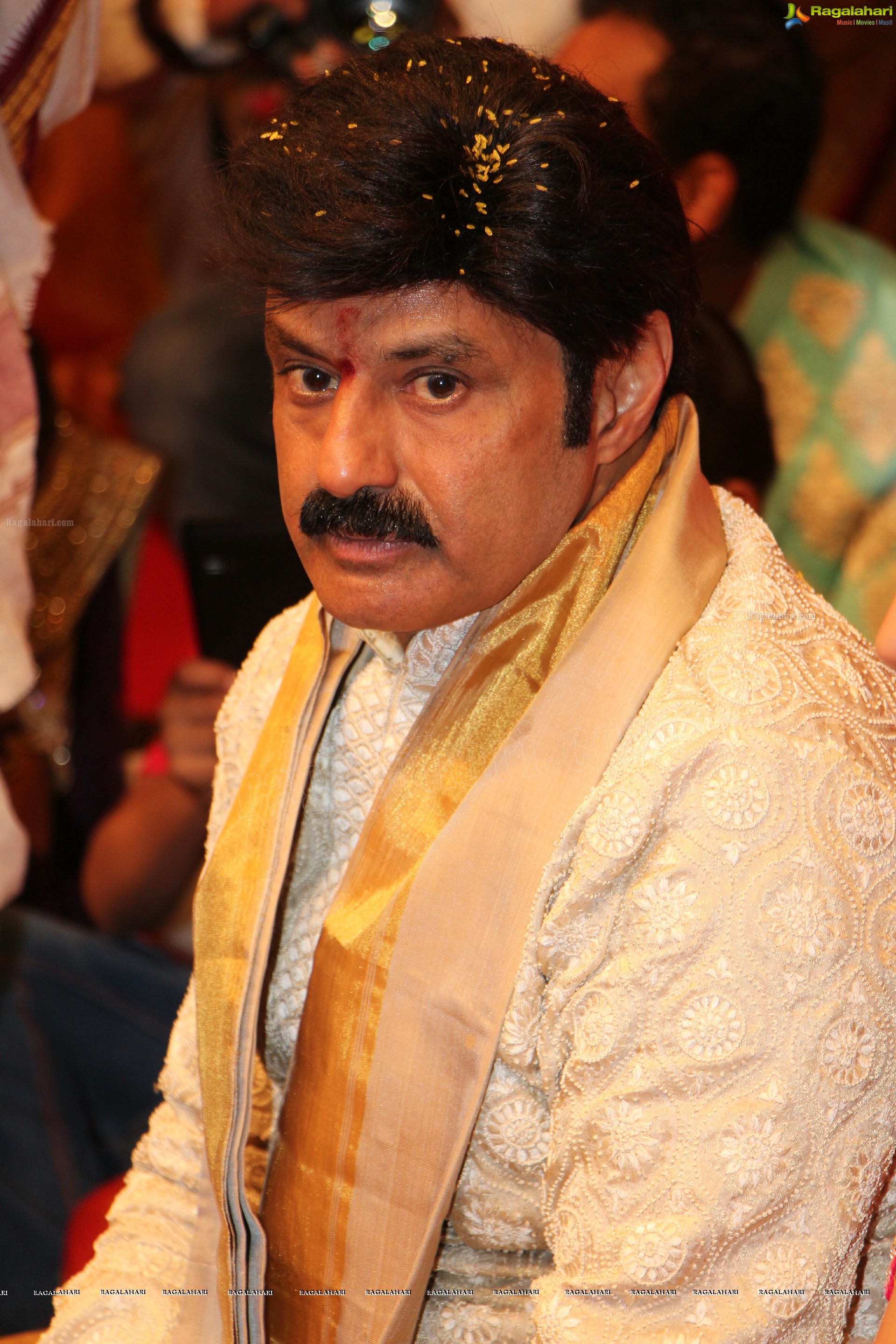 Balakrishna Daughter Tejeswini Wedding (High Definition)