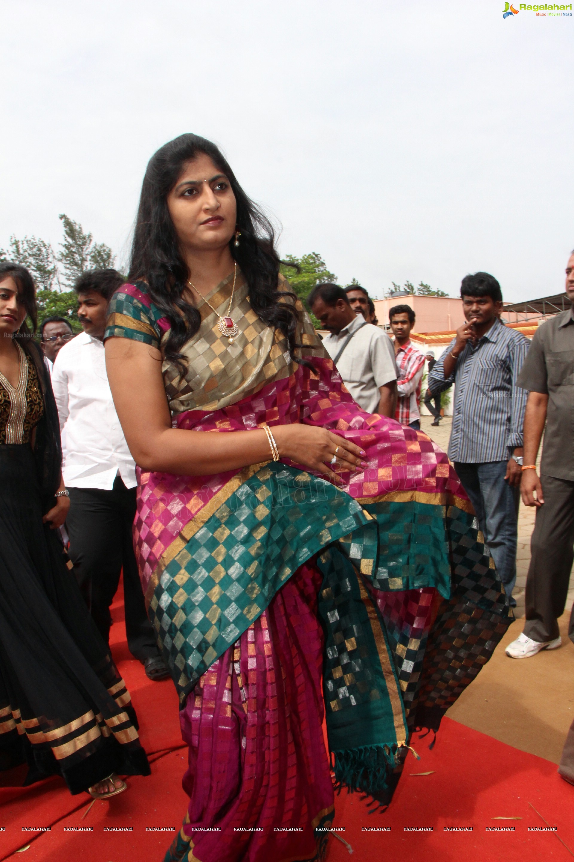 Balakrishna Daughter Tejeswini Wedding (High Definition)