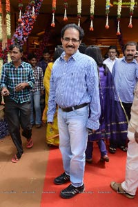 Balakrishna Daughter Tejeswini Wedding Photos