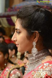 Balakrishna Daughter Tejeswini Wedding Photos