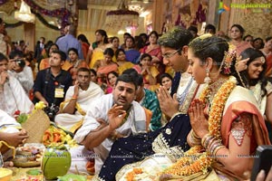 Balakrishna Daughter Tejeswini Wedding Photos