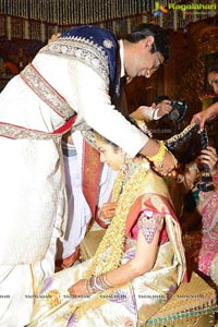 Balakrishna Daughter Tejeswini Wedding Photos