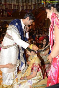 Balakrishna Daughter Tejeswini Wedding Photos