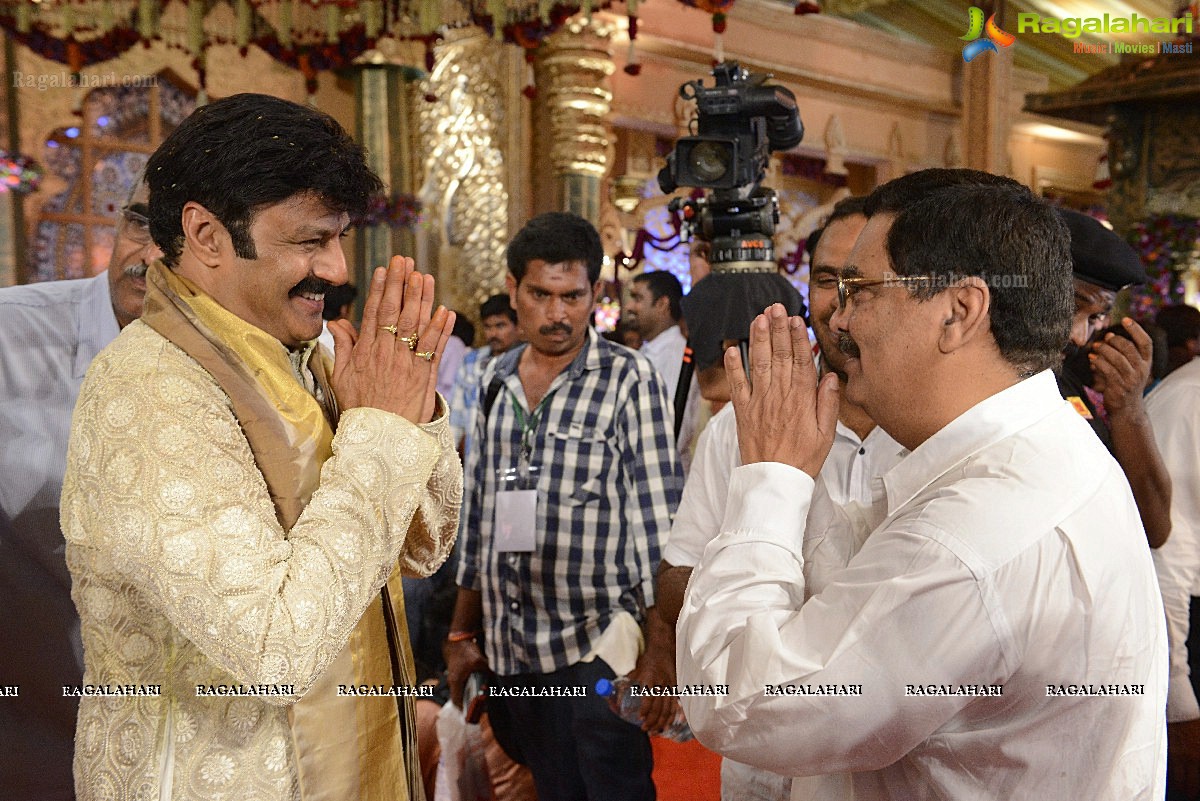 Balakrishna Daughter Tejeswini Wedding (Set 3)