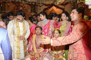 Balakrishna Daughter Tejeswini Wedding Photos